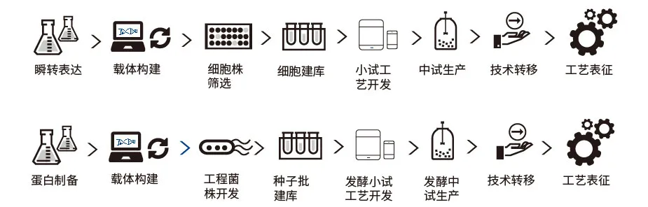 领康时代CDMO服务项目